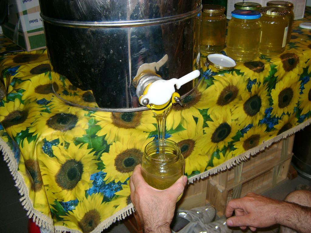 B&B Lattemiele Fontanellato Ngoại thất bức ảnh